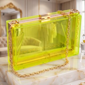 Bolso Clutch Acrílico Citron Éclat (varios colores)